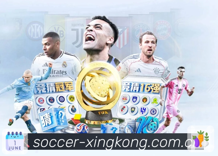 星空体育app 精彩赛事